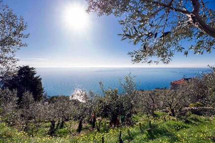 Foto Casa indipendente in Via San Bernardo, Pieve Ligure Centro di 50 m²