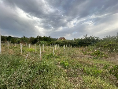 Foto Terreno agricolo in via colle dei pini, Guidonia Montecelio La Botte