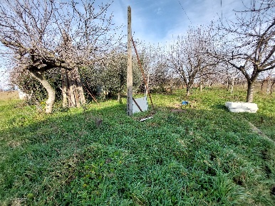 Foto Terreno agricolo in via Pasquala, Imola di 8500 m² in vendita