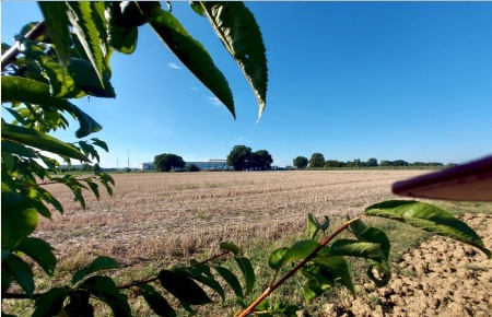 Foto Terreno agricolo in via Pasquala, Imola di 8500 m² in vendita