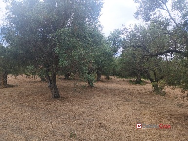 Foto Terreno edificabile in Gualtieri Sicaminò, Caltagirone Centro