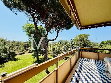 Foto Appartamento a Viareggio Torre del Lago di 44 m² con 1 locali