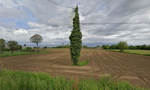 Foto Terreno agricolo in Viale europa, Galliera Veneta Centro di 17999 m²