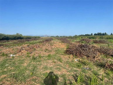 Foto Terreno agricolo in Via Circunvallazione, Francolise Centro di 9450 m²