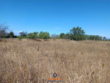 Foto Terreno agricolo a Casaluce di 3800 m² in vendita