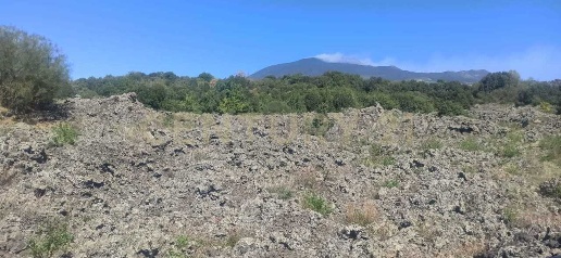 Foto Casa indipendente a Ragalna di 65 m² con 3 locali in vendita