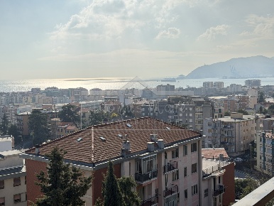 Foto Appartamento a Savona Oltreletimbro, Santa Rita di 146 m² con 7 locali