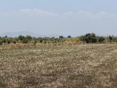 Foto Terreno agricolo in Strada Provinciale 104 snc, Lentini di 10000 m²