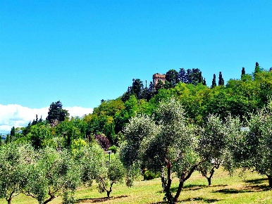 Foto Casa indipendente a Montespertoli di 180 m² con 6 locali in vendita