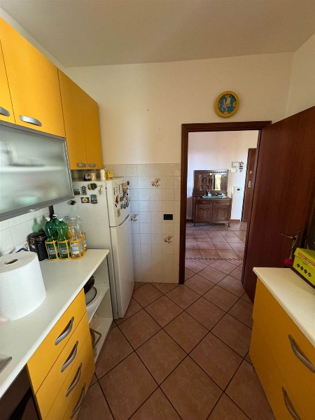 immagine annuncio 7 di 12