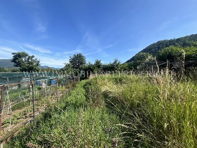 Foto Terreno agricolo in viale Delle Industrie, Villa d'Adda di 4690 m²