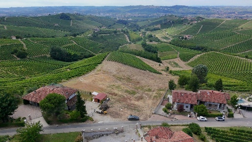 Foto Terreno residenziale in Località Trifolera, Barbaresco di 3256 m²