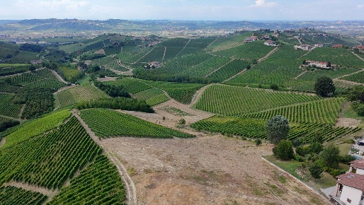Foto Terreno residenziale in Località Trifolera, Barbaresco di 3256 m²