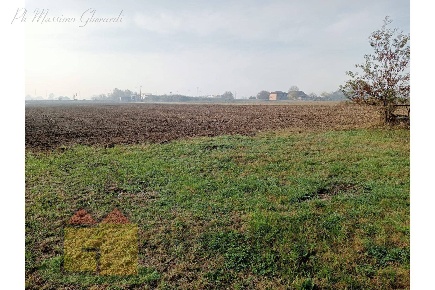 Foto Terreno agricolo a Ferrara San Martino di 26050 m² in vendita