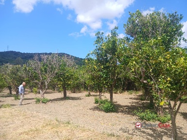 Foto Terreno edificabile in Condrò, Pace del Mela di 1000 m² in vendita