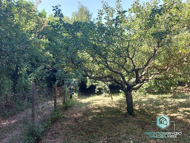 Foto Terreno edificabile in Via dei Corsi, Rocca di Papa di 1215 m²