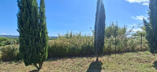 Foto Terreno residenziale a Terricciola Selvatelle di 1600 m² in vendita
