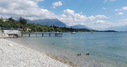 immagine annuncio 9 di 15