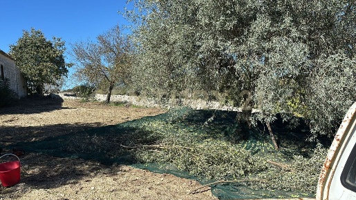 Foto Rustico in strada provinciale 104, Modica Modica Alta di 80 m²