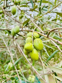 Foto Rustico in SP104, Modica Modica Alta di 90 m² con 3 locali in vendita