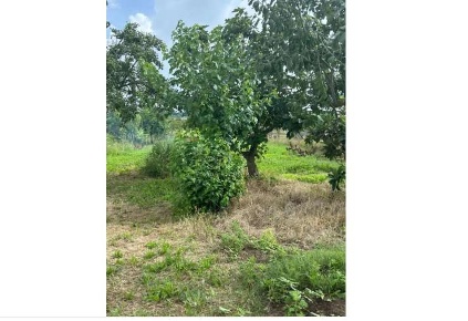Foto Appartamento in VIA CASINE  129, Casciana Terme Lari di 130 m²