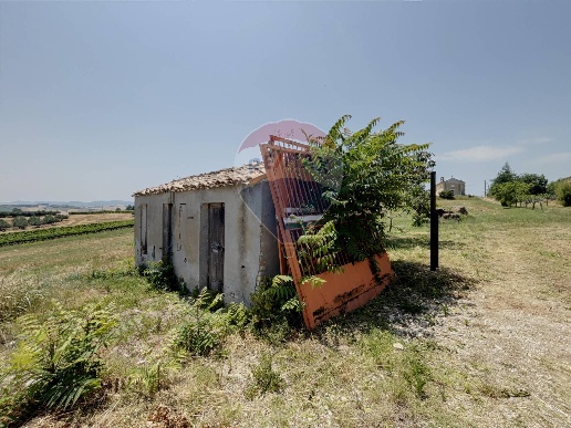 immagine annuncio 5 di 8