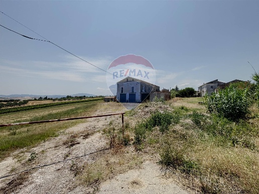 immagine annuncio 6 di 8