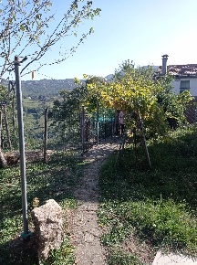 Foto Case indipendenti in via ronco, Faenza di 380 m² con 14 locali