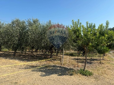 Foto Terreno residenziale a Paglieta Centro di 2440 m² in vendita