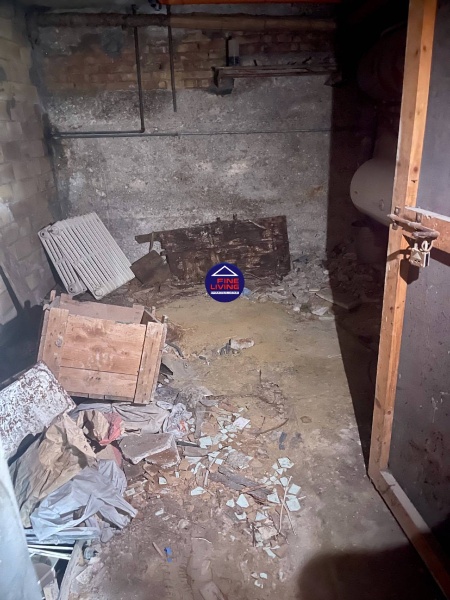 immagine annuncio 9 di 12