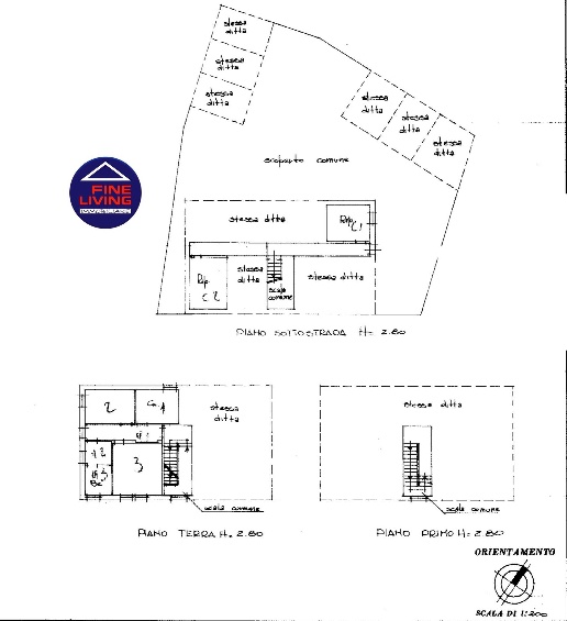 immagine annuncio 11 di 12