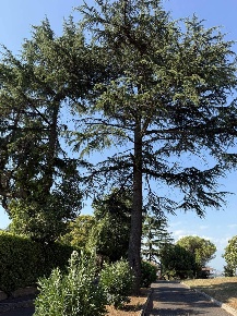 Foto Appartamento in via Cassia 1716A, Roma La Storta di 45 m² con 2 locali
