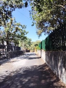 Foto Terreno agricolo in Via della Regione, Pedara di 48000 m² in vendita