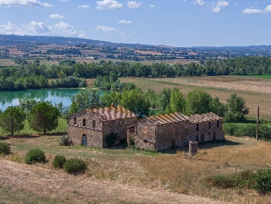 Foto Rustico a Campagnatico di 843 m² con 31 locali in vendita