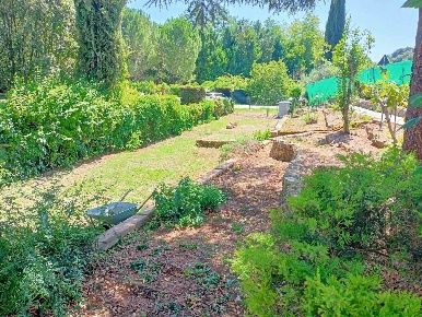 Foto Rustico a Poggibonsi di 90 m² con 4 locali in vendita