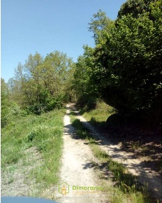 Foto Terreno agricolo in Zona Agricola loc. Selva Malana null, Centro