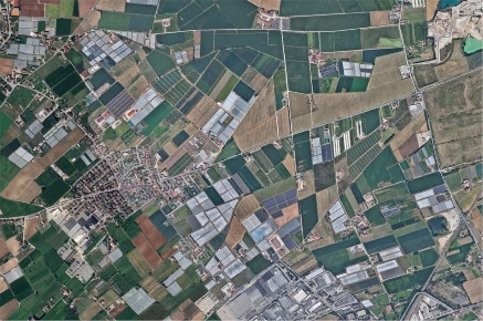 Foto Terreno agricolo in Strada La Rizza, Villafranca di Verona in vendita