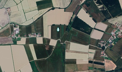 Foto Terreno agricolo a Cava Manara di 18613 m² in vendita