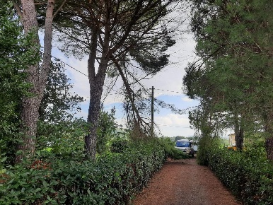 Foto Casa indipendente a Terricciola La Rosa di 270 m² con 13 locali