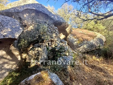 Foto Terreno agricolo in Località Priatu, Sant'Antonio di Gallura