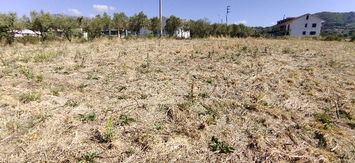 Foto Terreno agricolo a Giffoni Valle Piana di 3750 m² in vendita