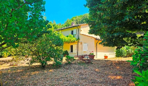 Foto Rustico a Montescudaio di 150 m² con 6 locali in vendita