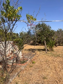 Foto Villa singola in VIA SCIASCIA - C.DA PIETREROSSE, Augusta Centro