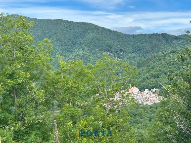 Foto Rustico in Borgata Baracco, Roccaforte Mondovì di 77 m² con 3 locali