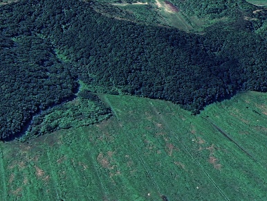 Foto Terreno agricolo a San Miniato Cigoli, La Serra, Bucciano, Balconevisi