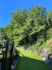 Foto Terreno edificabile in VIA NEMBRA, Edolo Nembra di 1 m² in vendita