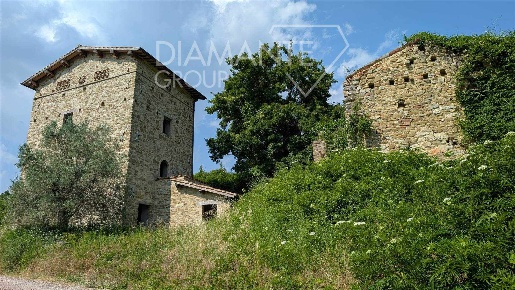 Foto Cessione attività a Gubbio Colpalombo di 390 m² con 12 locali
