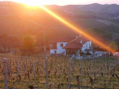 Foto Rustico in frazione camo regione Casa Cich, Santo Stefano Belbo