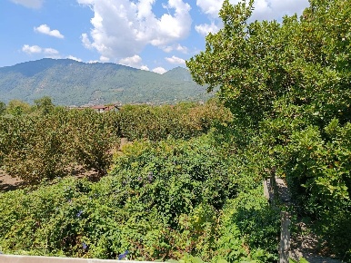 Foto Terreno agricolo a Montoro San Pietro di 9100 m² in vendita