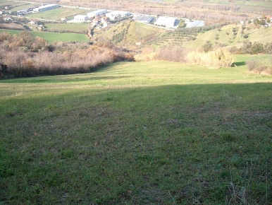Foto Terreno agricolo in Via Truentina, Colonnella di 15945 m² in vendita